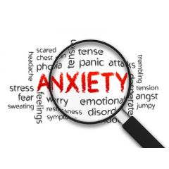 NUR157 - Anxiety Disorders (2.5 HR)