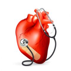 NUR109 - Coronary Heart Disease (1.5 HR)