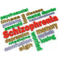 NUR164 - Schizophrenia (1.0 HR)