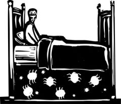 NUR141 - Bed Bugs (1.0 HR)