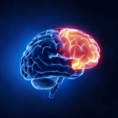 Series - 8 Hour Dementia Training Series (8.0 HR)