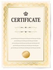 Series - Nurse Leadership Certificate Program (12.0 HR)