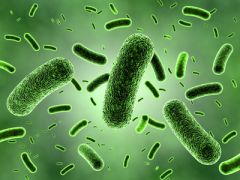 NUR142 - Clostridium Difficile (C. Diff.) Infection (1.0 HR)