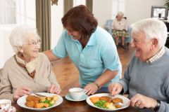 DTY101 - Food Preparation Orientation (1.0 HR)