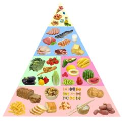 DTY100 - Basic Orientation for Dietary Aides (1.0 HR)