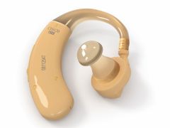 NUR101 - Hearing Loss (2.0 HR)