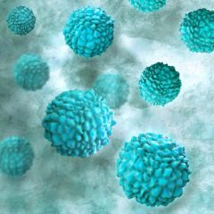 NUR151 - Norovirus (0.5 HR)