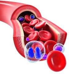 REG101 - Bloodborne Pathogens and Exposure Control for Acute Care (1.5 HR)