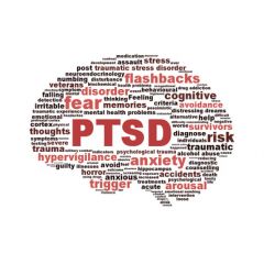 NUR163 - Post-Traumatic Stress Disorder (1.0 HR)
