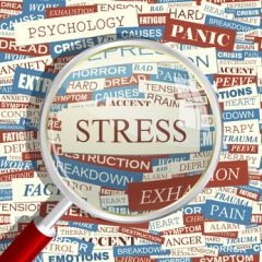 ALL106 - Stress Management (1.0 HR)